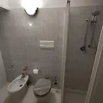 Loft Mansardato Apartman